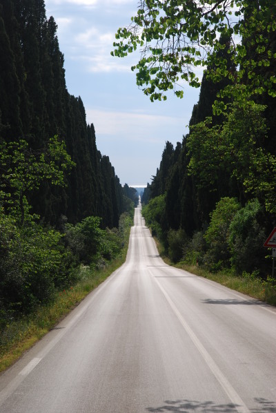 Il viale dei cipressi che da Bolgheri va verso il mare